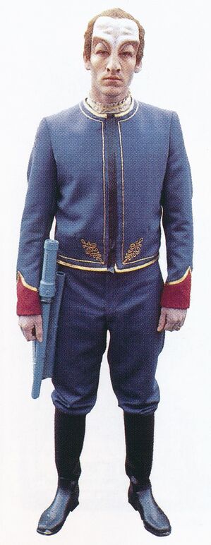 Imzig-SWAFA.jpg
