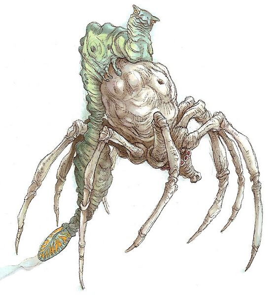 File:KnobbySpiderMorp-woswfg.jpg