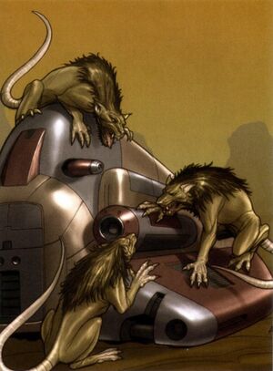Womp rat AA.jpg