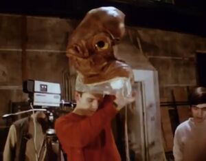 Fishhead.jpg