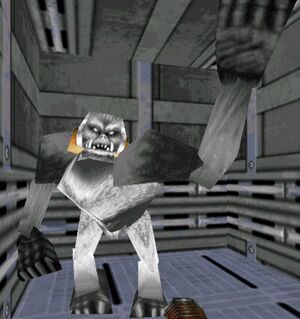 Swamp wampa.jpg