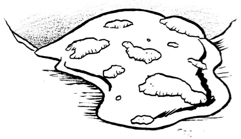 File:Carnivorous mold.jpg