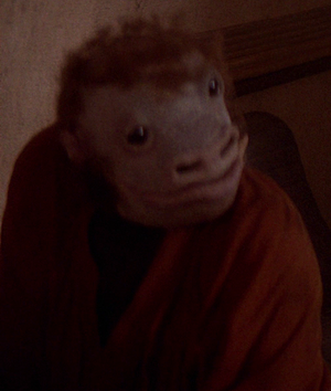 Takeel.png