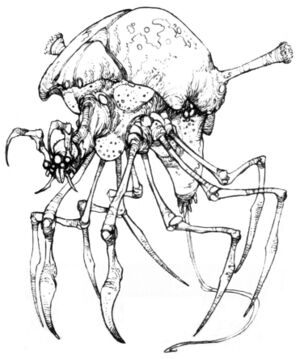 Arachnor.jpg