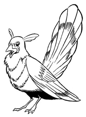 Bimmisaari tiga loreng.jpg