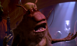 Yowza Jedi Rocks.png
