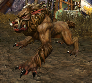 Manka cat.png