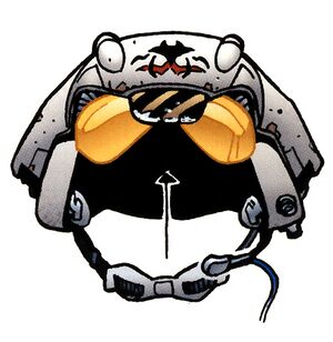 Dllr Nep helmet.jpg