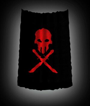 XWA Space Pirate Flag.jpg