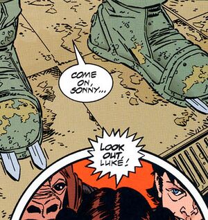 Double-bladed boot.jpg