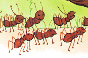 EndorianAnts.png
