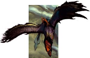 WingRiderElam.jpg