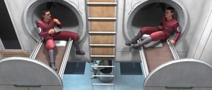 CutupFivesBunks-CC.png
