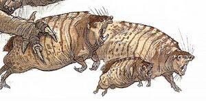 Pig rodent.jpg