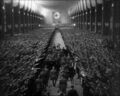 Thumbnail for version as of 16:17, 23 August 2022