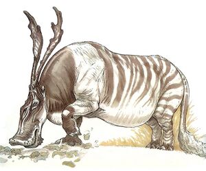 YavinRunyip.jpg