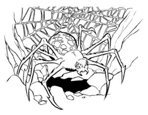 Purella Spider.jpg
