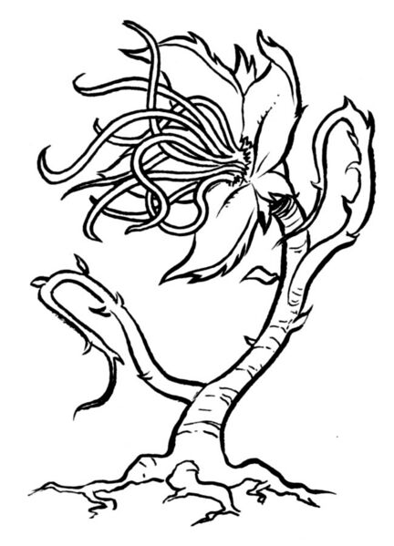 File:Syren plant.jpg
