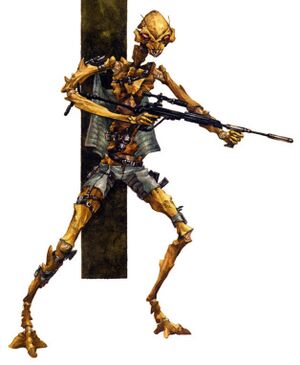 Kobok.jpg