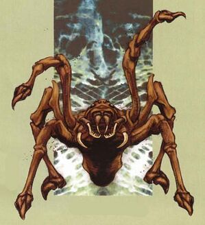 RearingSpider.jpg