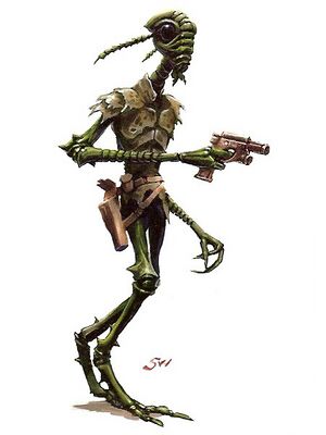 Verpine2.0.jpg