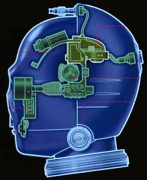 AA-1 VerboBrain.jpg
