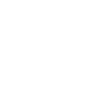 New Jedi Order alt.png