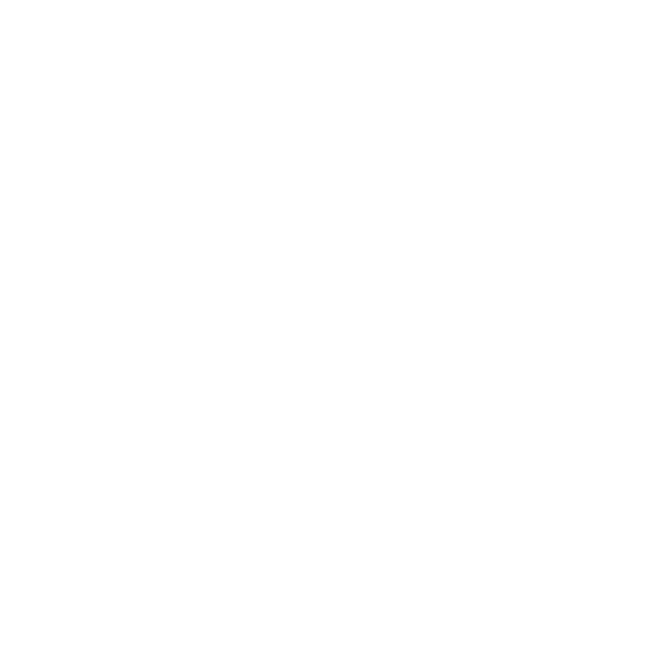 File:New Jedi Order alt.png