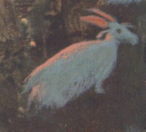 Gra.jpg