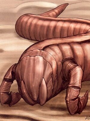CliffBorerWorm.jpg