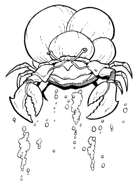 File:Sink-crab.jpg