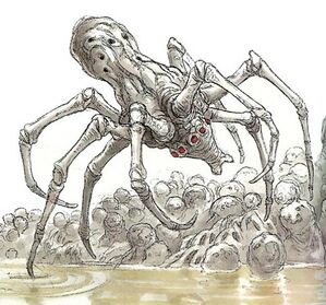 KnobbyWhiteSpider-wswfg.jpg