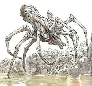 KnobbyWhiteSpider-wswfg.jpg