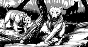 Garral.png