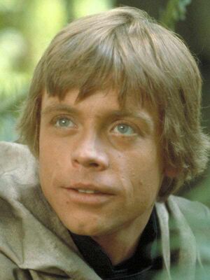 Luke on Endor.jpg
