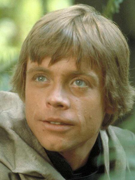 File:Luke on Endor.jpg