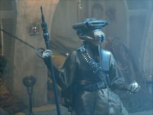 Leia boush2.jpg
