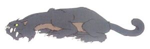 Yayax.jpg