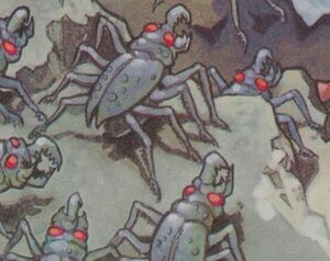 SpiderRoach.jpg