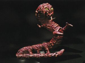 Klorslug.jpg