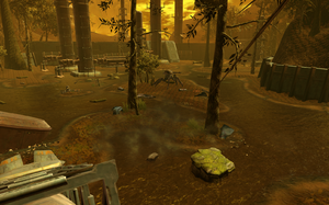 The bog.png