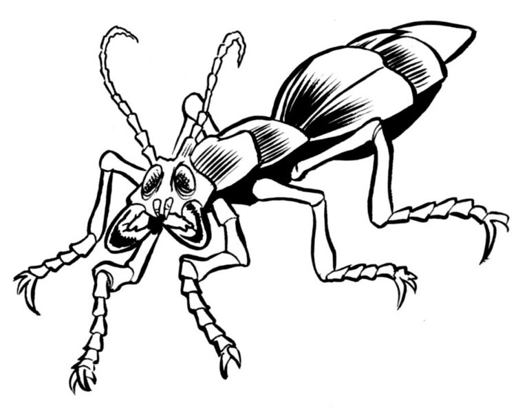 File:Fefze beetle.jpg