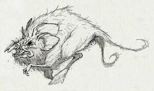 UnknownRodent.jpg