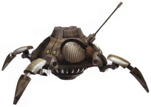 Fly eye FF84.jpg