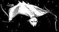 Thumbnail for version as of 10:04, 23 August 2022