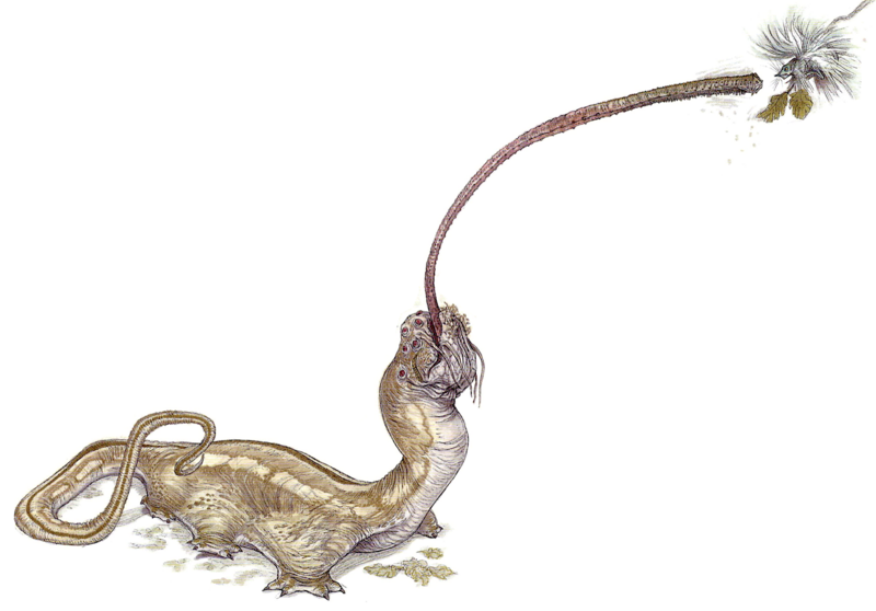 File:TemptorRugger-TheWildlifeOfSW.png