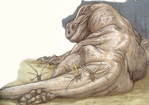 Dewback-woswfg.jpg