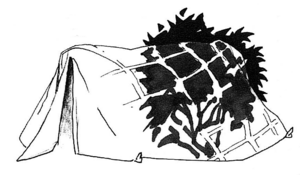 DuraShelter.png