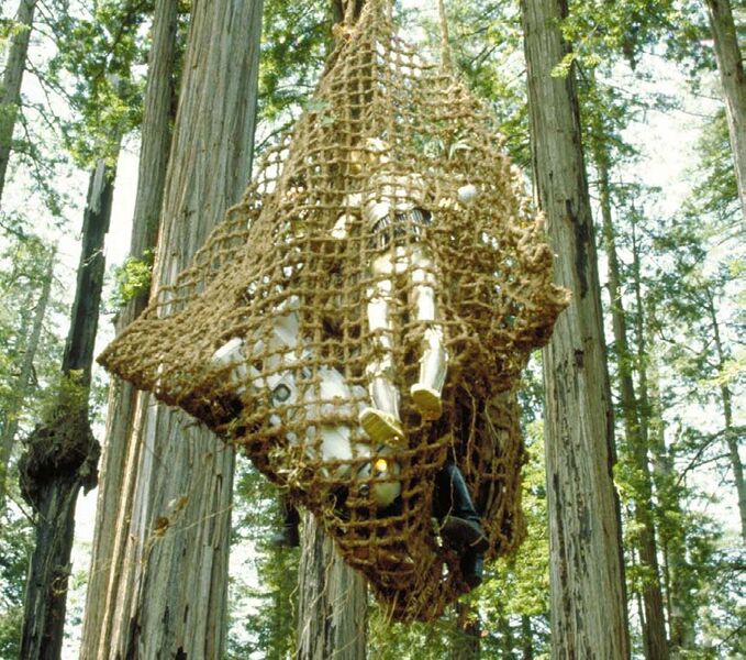 File:Return of the Jedi Ewok Net.jpg