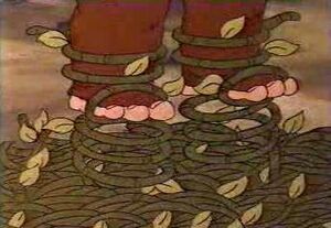 2x19 wicket magic shoes.jpg